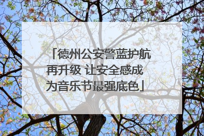 德州公安警蓝护航再升级 让安全感成为音乐节最强底色